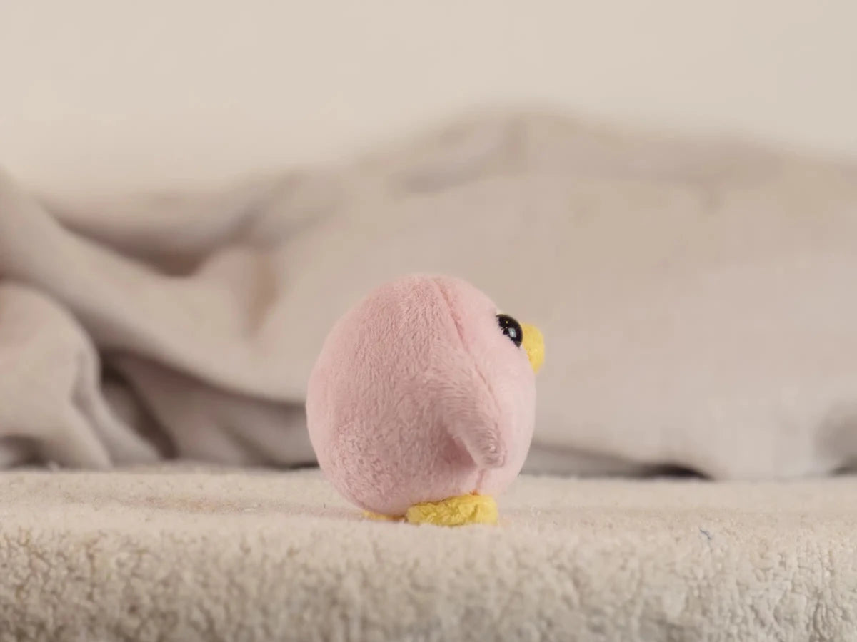 Small Round Duck - DUCK-BLUSH
